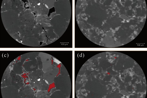 A review of high-resolution X-ray computed tomography applied to petroleum geology and a case study